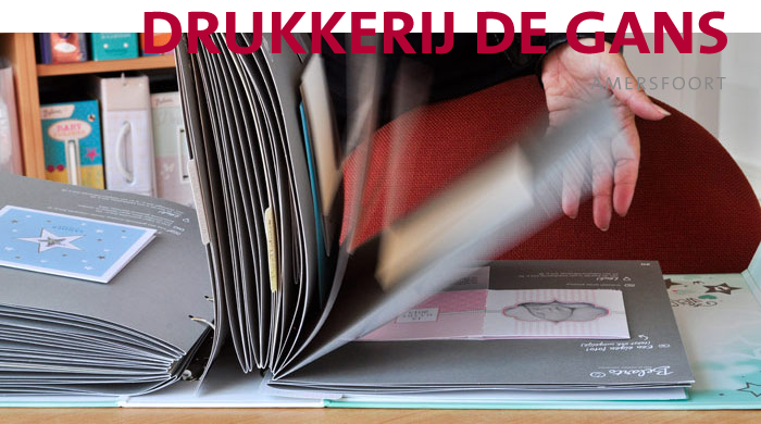 Drukkerij de Gans